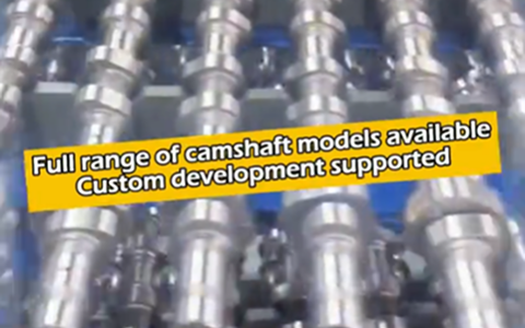 Full range of large camshaft models available, custom development supported.