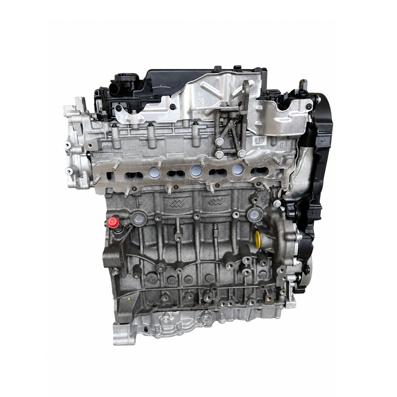 DW10FC Diesel Long Block