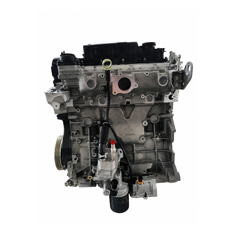 DW10FC Diesel Long Block