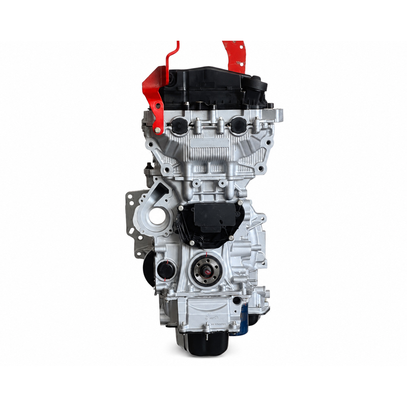 EB2 Petrol Long Block
