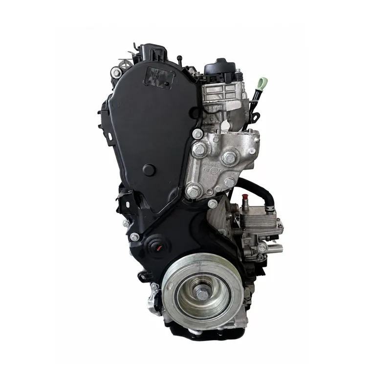 DW10FC Diesel Long Block