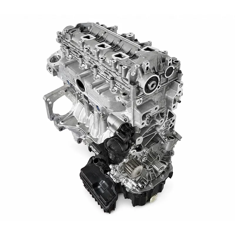 DV5 Diesel Long Block